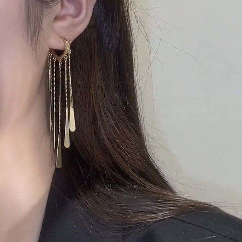 Long Fringe Earrings Special-interest Design Women - Chic Angle